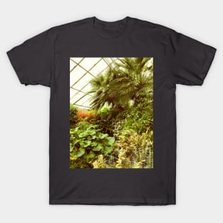 Tropics in Toronto T-Shirt